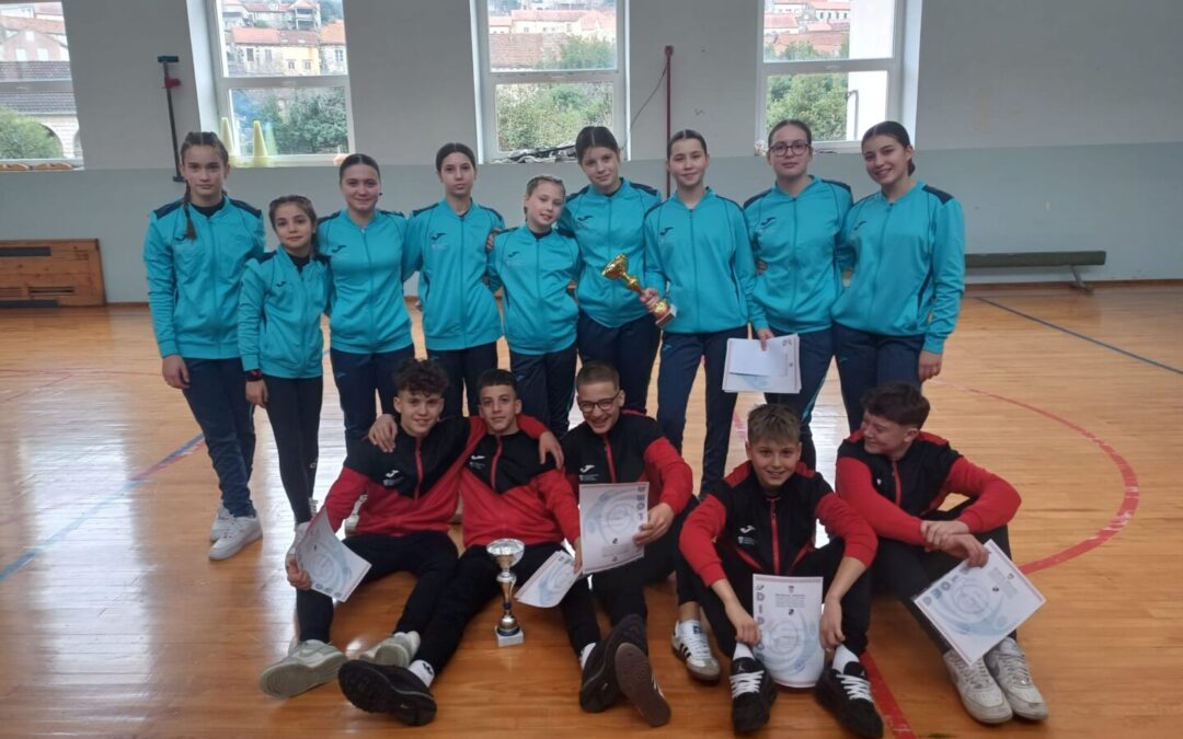 Županijsko natjecanje u sportskoj gimnastici