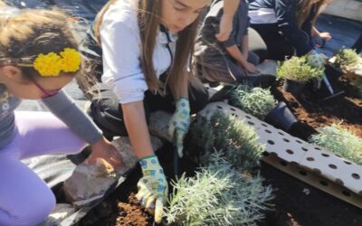 UZ Konoba u projektu „Boje trave nego antibiotici“ – zajedničkim snagama za zdraviji i zeleniji svijet