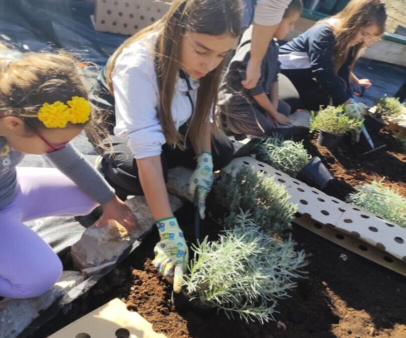 UZ Konoba u projektu „Boje trave nego antibiotici“ – zajedničkim snagama za zdraviji i zeleniji svijet