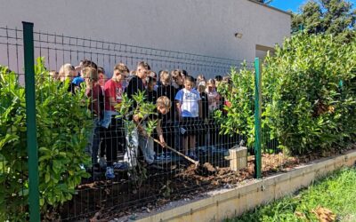 Pješačenjem do očuvanja prirode – projektna aktivnost